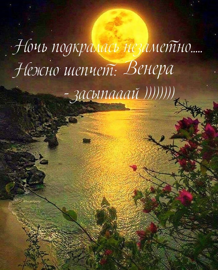 Венера, ночь подкралась незаметно, засыпай)