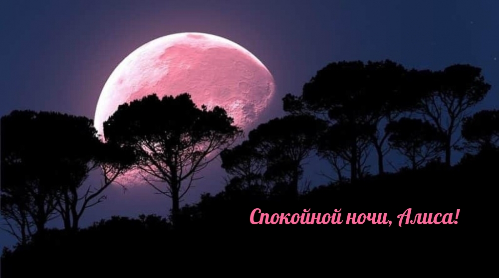 Спокойной ночи, Алиса!