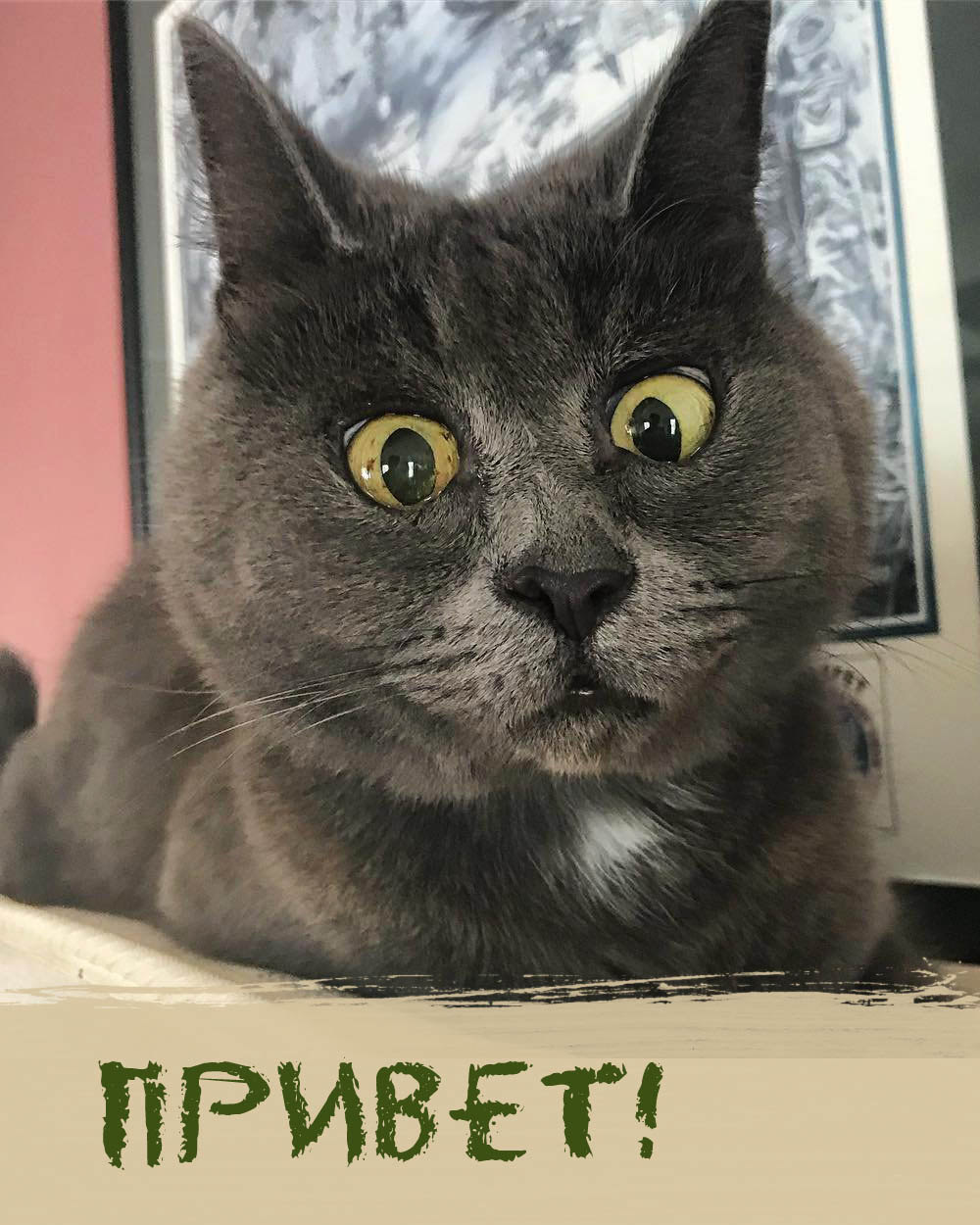 Привет
