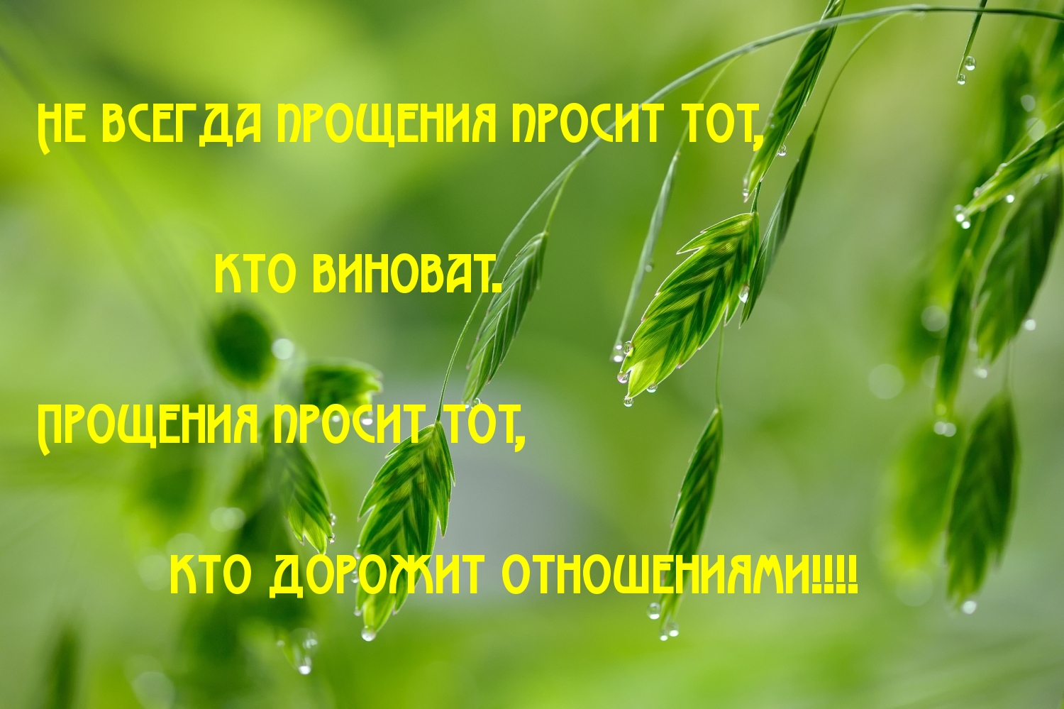 Прощения просит тот, кто дорожит отношениями!