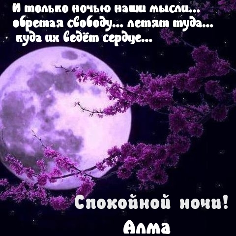 Алма, спокойной ночи!