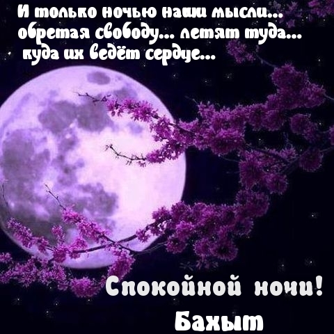Бахыт, спокойной ночи!