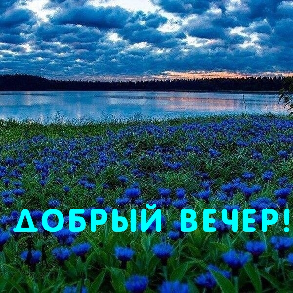 Добрый вечер!