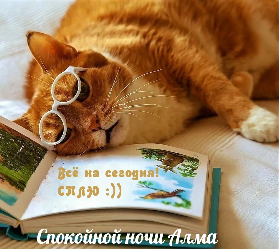 Спокойной ночи Алма, все на сегодня, сплю