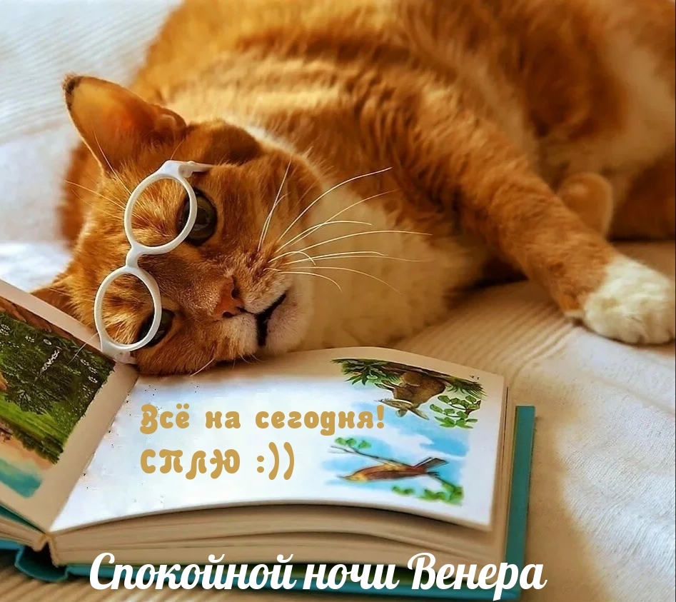 Спокойной ночи Венера, все на сегодня, сплю