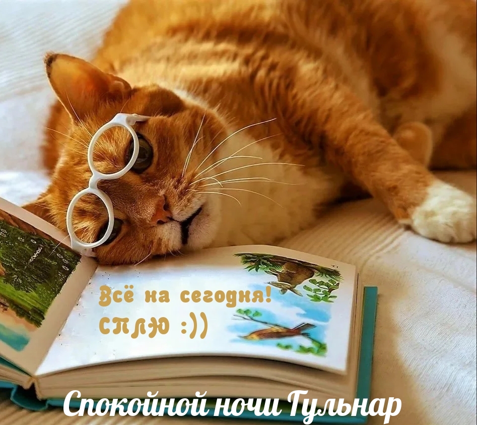 Спокойной ночи Гульнар, все на сегодня, сплю