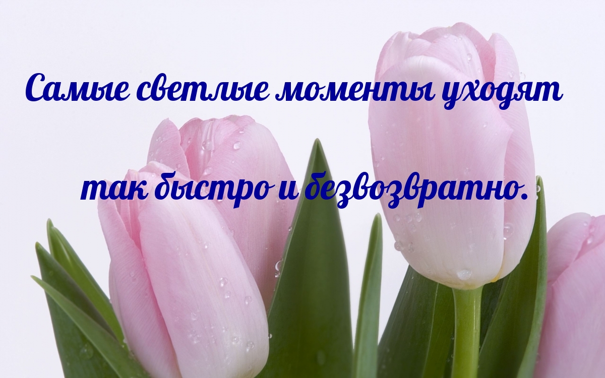 Самые светлые моменты уходят