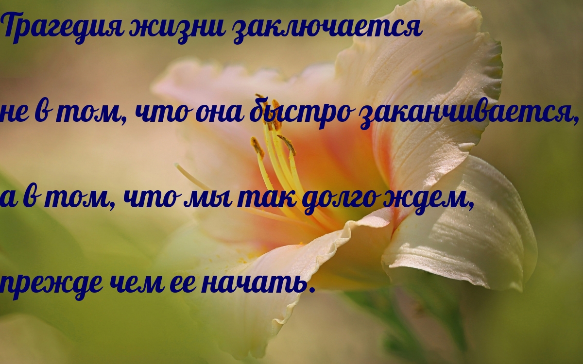Трагедия жизни заключается не в том