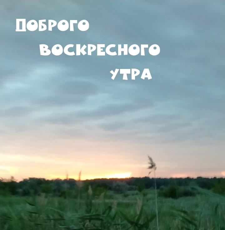Картинки с надписями.  Доброго Воскресного Утра.