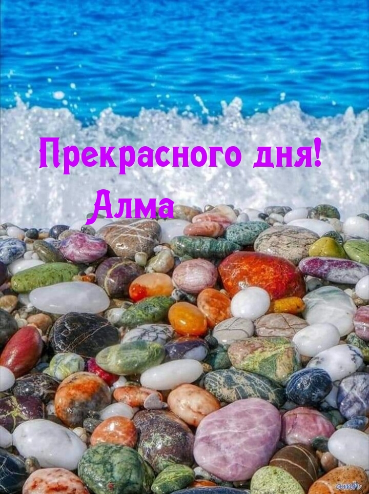 Алма, прекрасного дня!