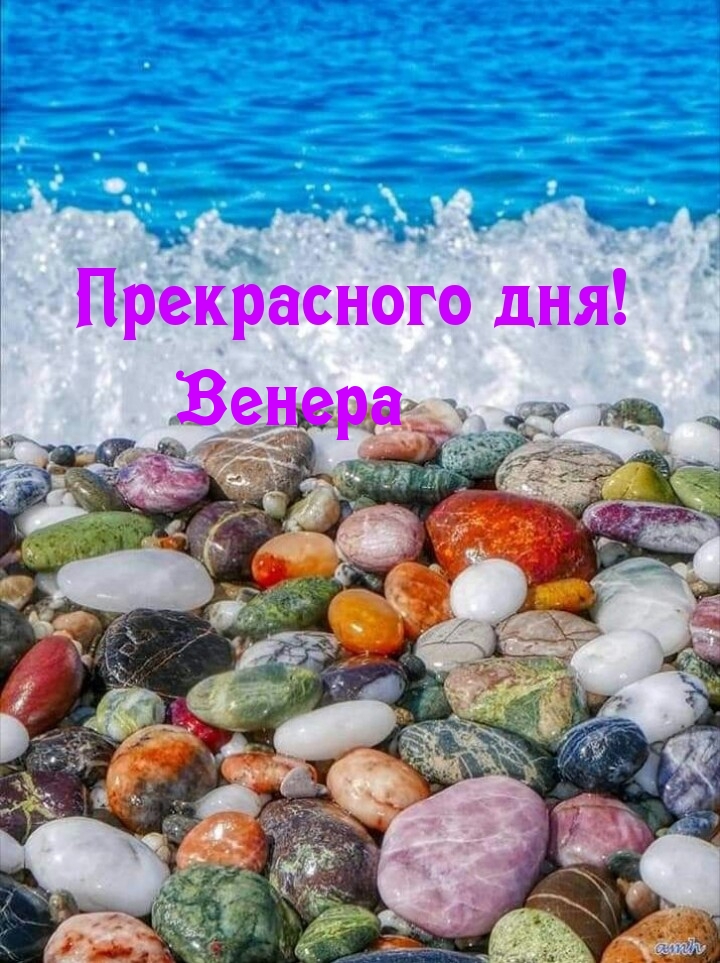 Венера, прекрасного дня!