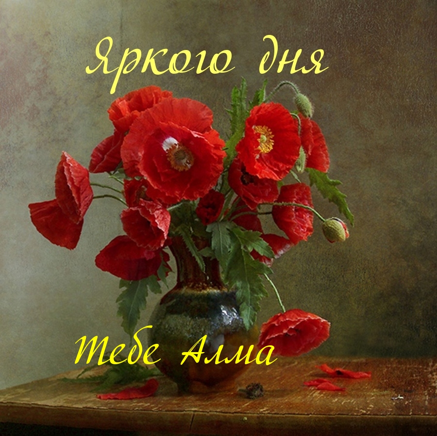 Яркого дня Тебе дорогая, Тебе Алма
