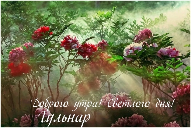 Гульнар, доброго утра! Светлого дня!