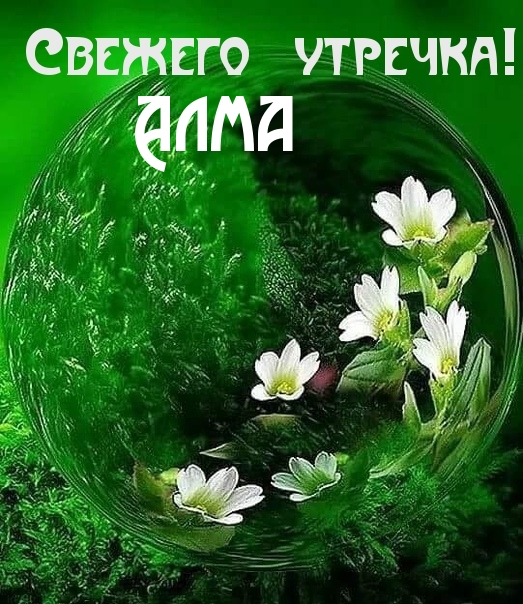 Алма, свежего утречка!