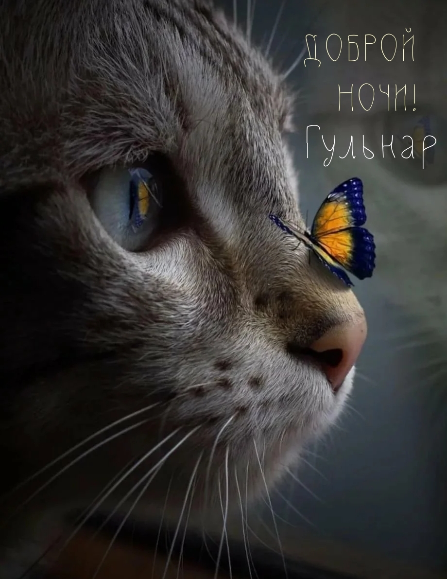 Гульнар, доброй ночи!