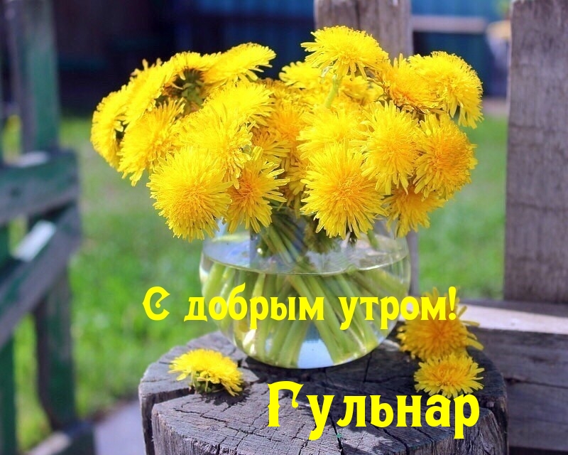Гульнар, с добрым утром!