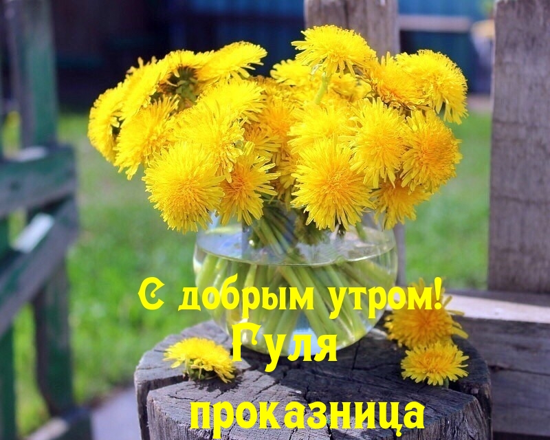 Гуля проказница, с добрым утром
