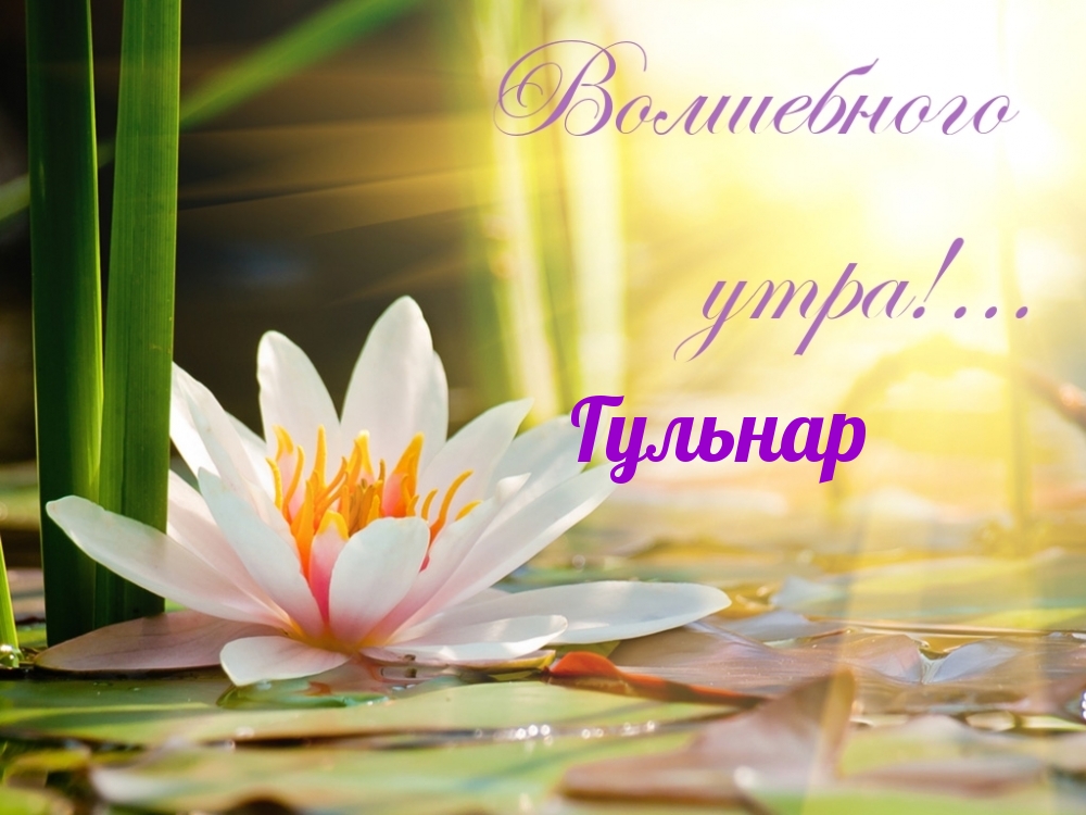 Гульнар, волшебного утра!