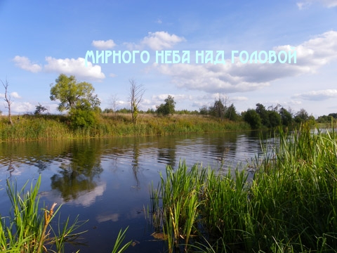 Мирного неба над головой