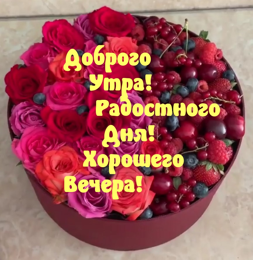 Доброго Утра! Радостного Дня! Хорошего Вечера!
