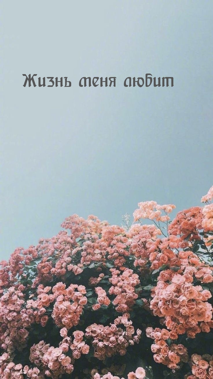 Жизнь меня любит