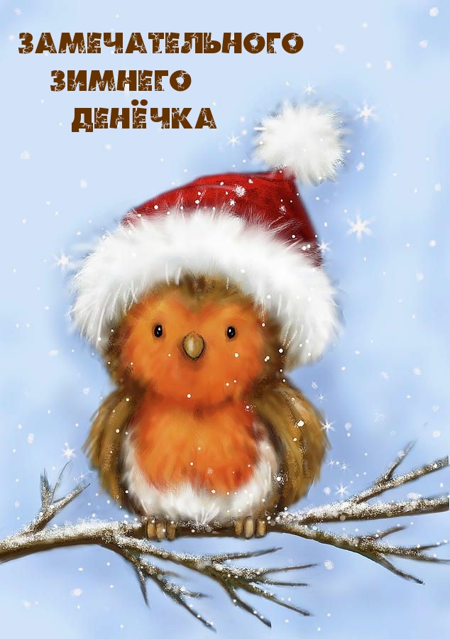 Замечательного Зимнего Денёчка
