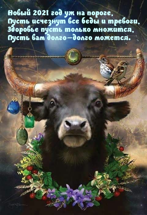 Новый 2021 год уж на пороге