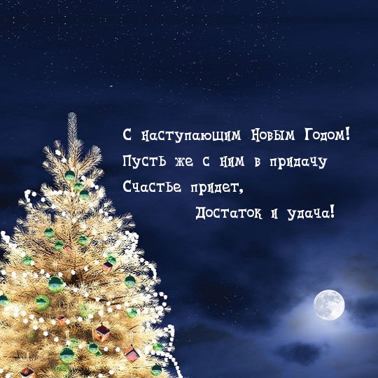 С наступающим Новым Годом! Достаток и удача!