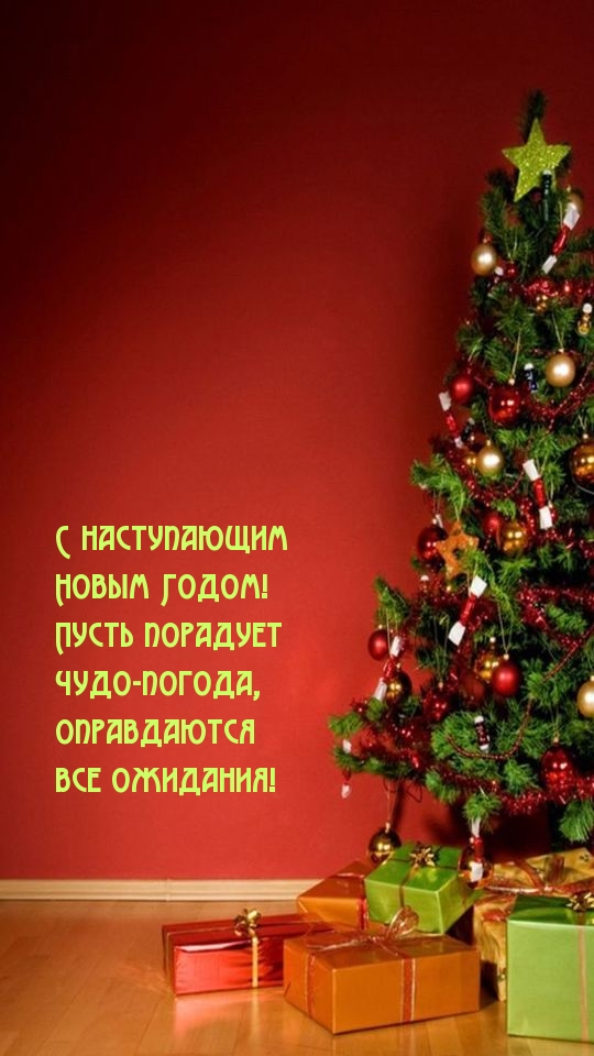 С наступающим Новым Годом! Пусть порадует чудо-погода