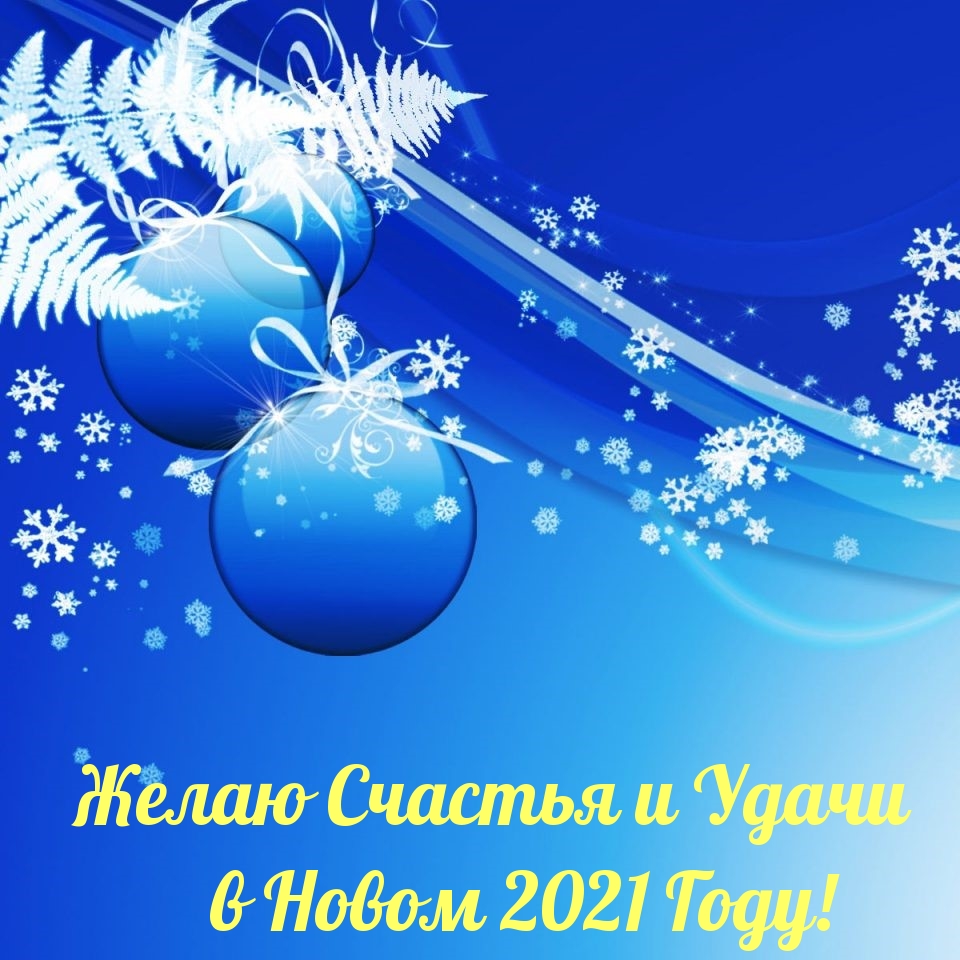 Желаю Счастья и Удачи в Новом 2021 Году!