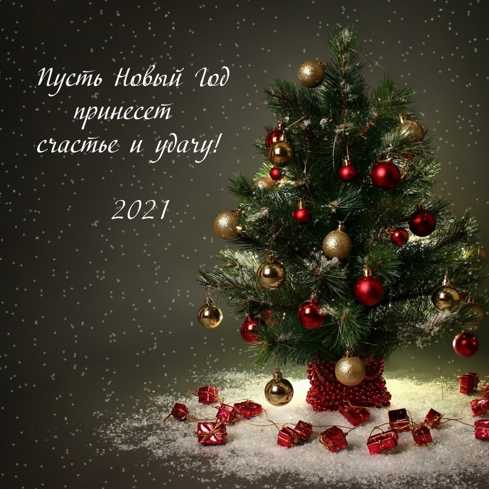 Пусть Новый Год 2021 принесет счастье и удачу!