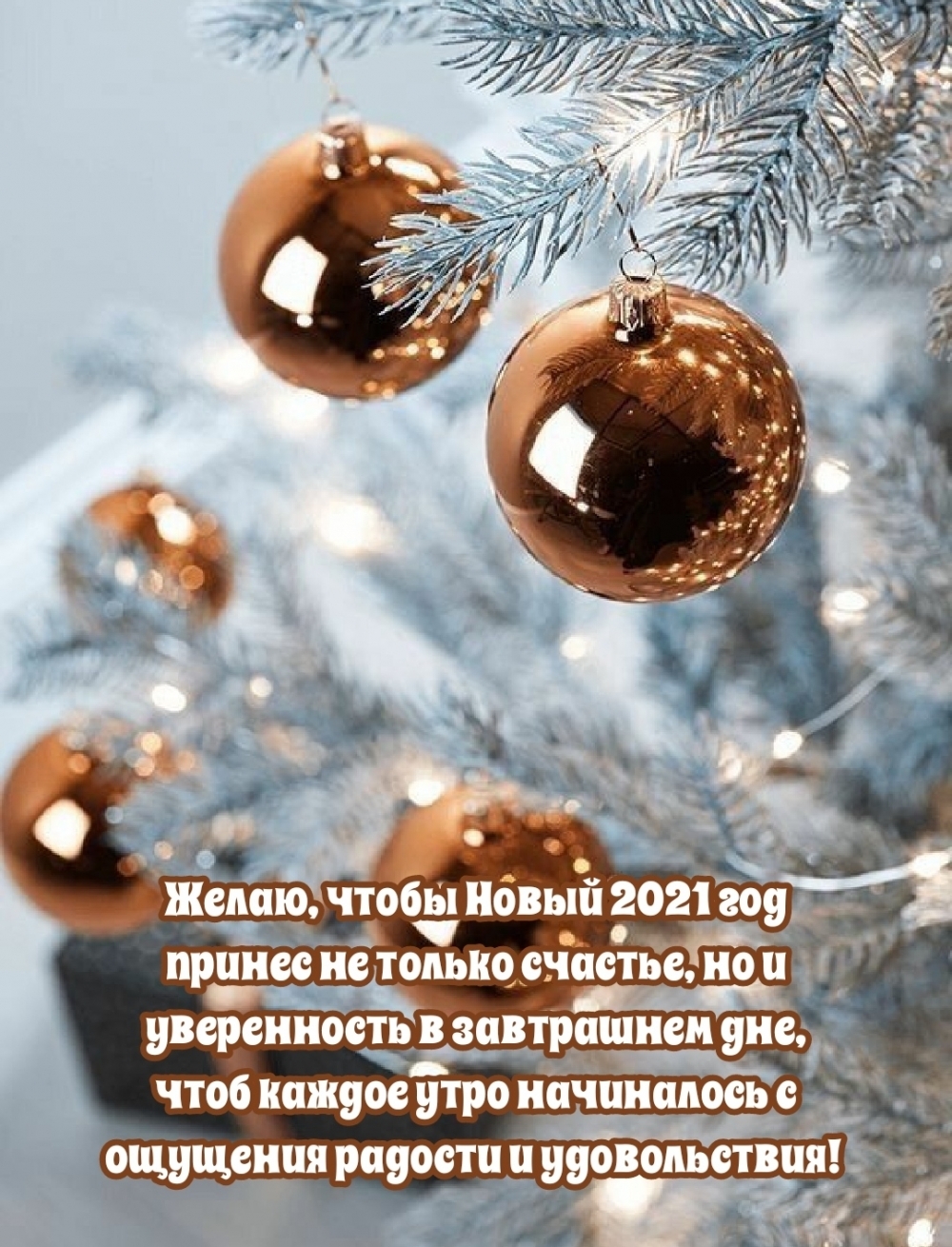 Желаю, чтобы Новый 2021 год принес не только счастье