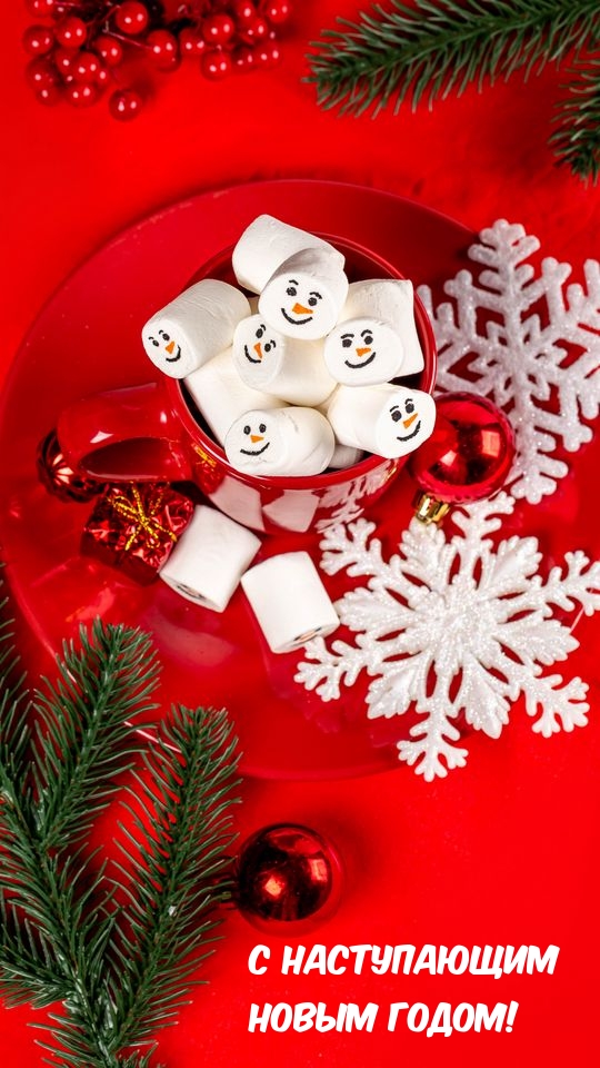 С наступающим Новым Годом!