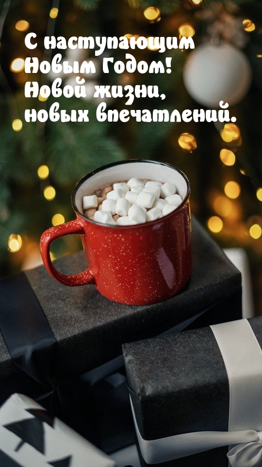 Новой жизни, новых впечатлений.