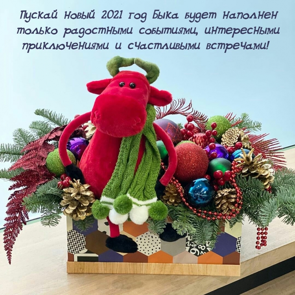 Пускай новый 2021 год Быка будет наполнен только радостными событиями