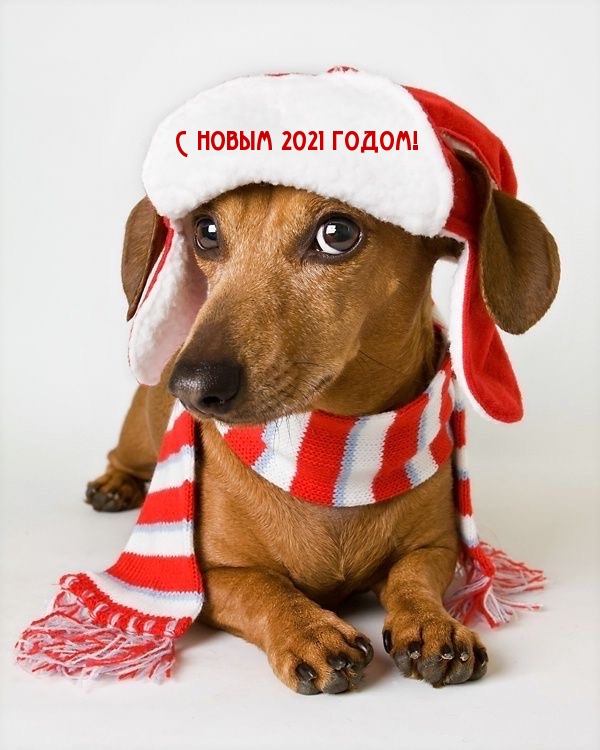 С новым 2021 годом!