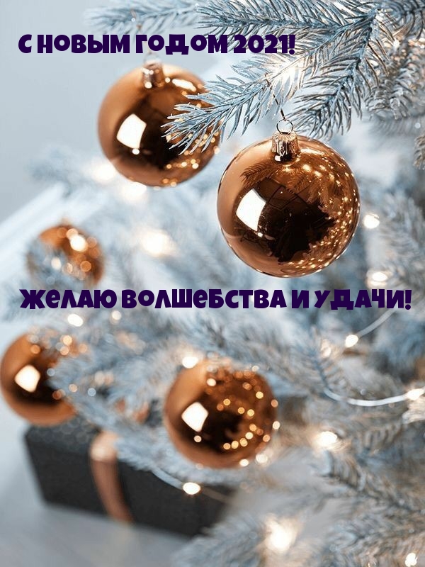 С новым годом 2021! Желаю волшебства и удачи!
