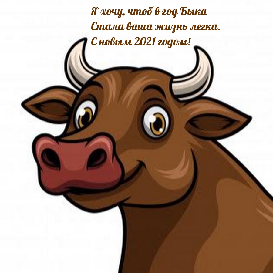 С новым 2021 годом! В год быка поздравляю!