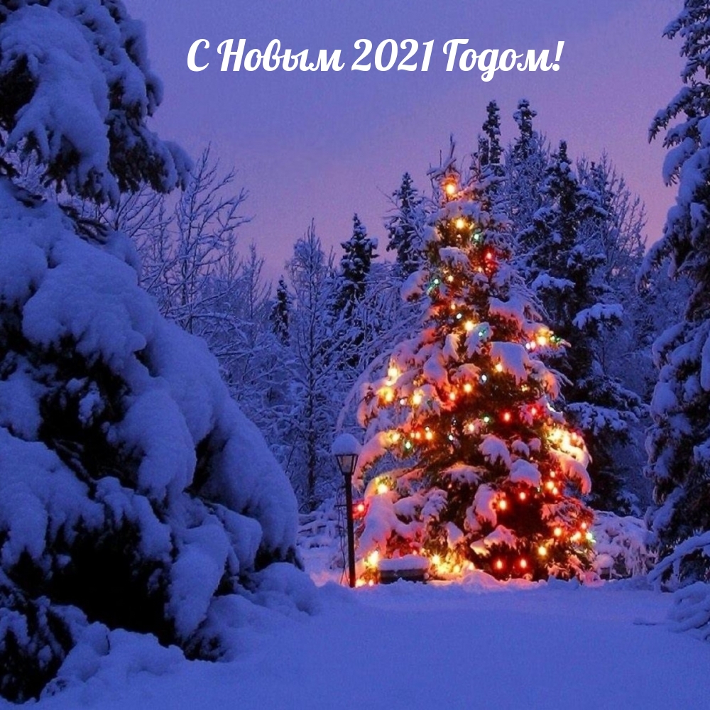 С Новым 2021 Годом!