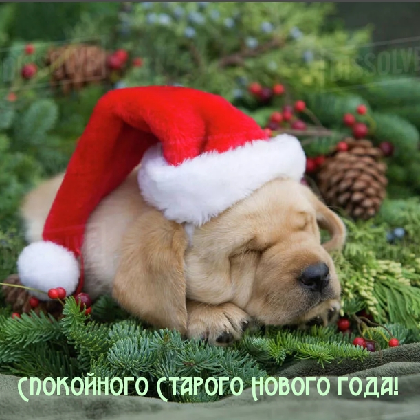 Спокойного Старого Нового года!