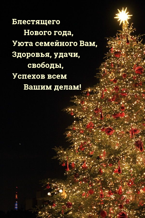 Успехов всем Вашим делам! Блестящего нового года!