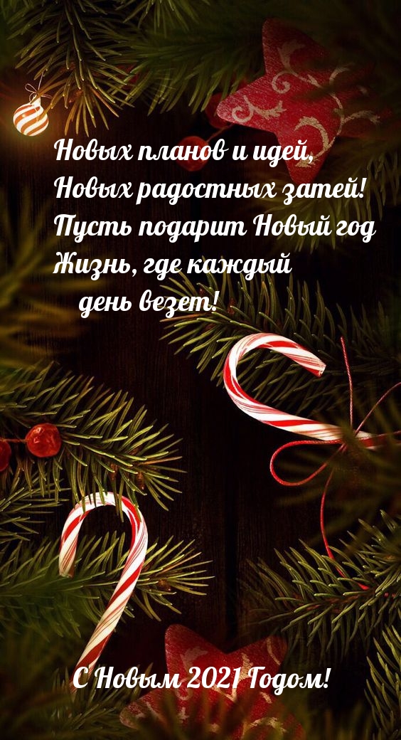 С Новым 2021 Годом! Новых планов и идей!