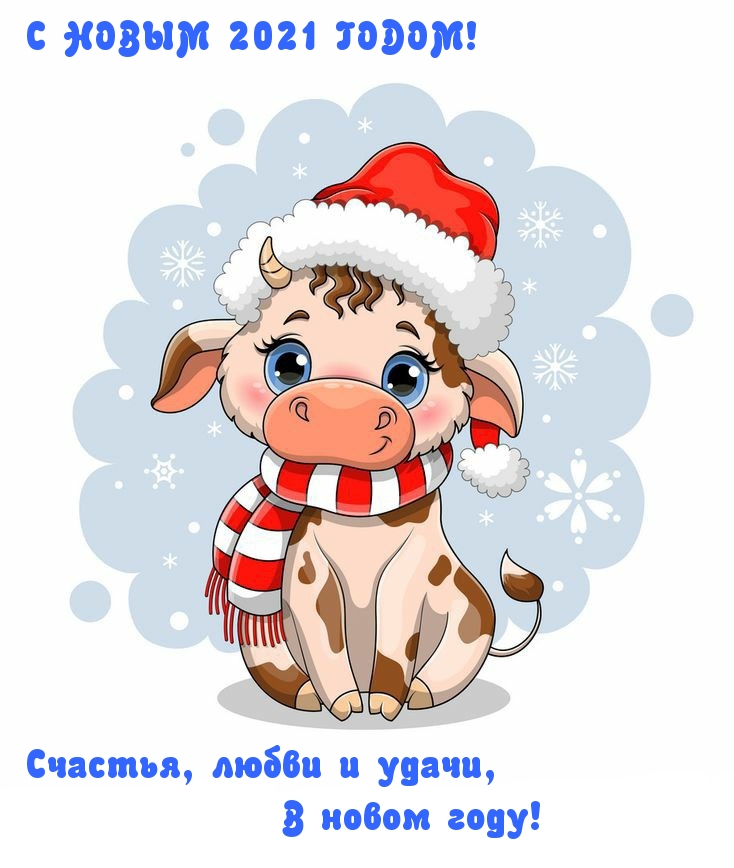 С НОВЫМ 2021 ГОДОМ! Счастья, любви и удачи