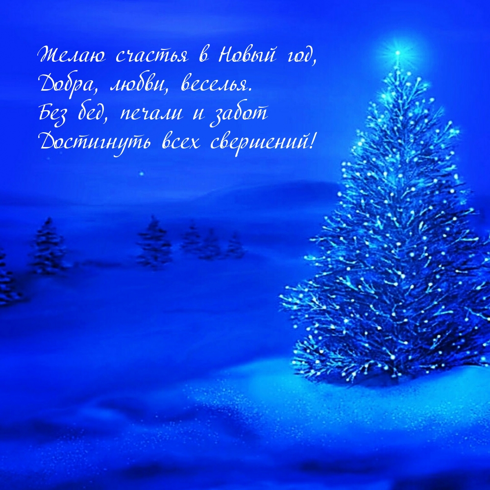Желаю счастья в Новый год!