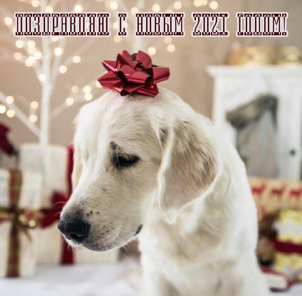 Поздравляю с Новым 2021 годом!