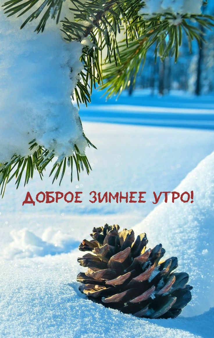 Доброе зимнее утро!