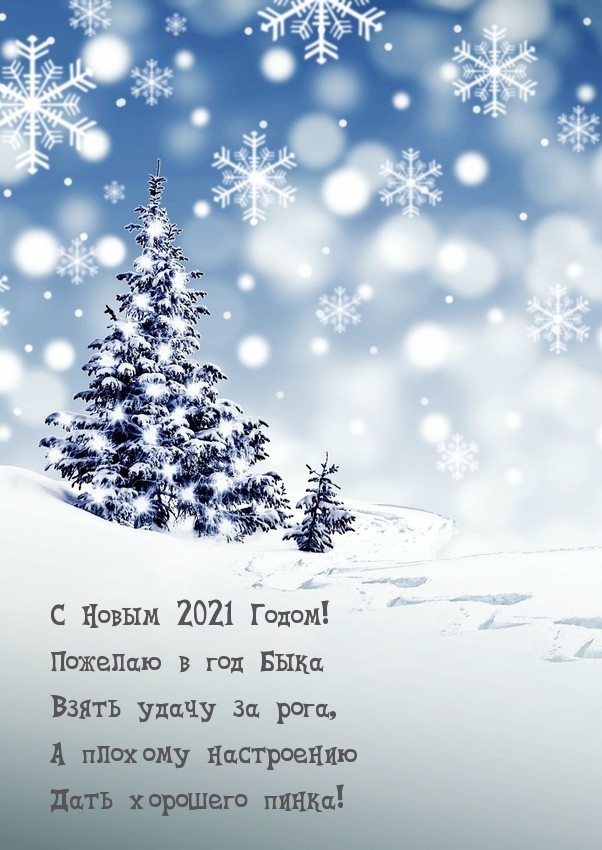 С Новым 2021 Годом! Стишок про быка