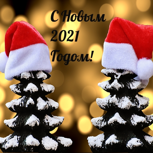 С Новым 2021 Годом!