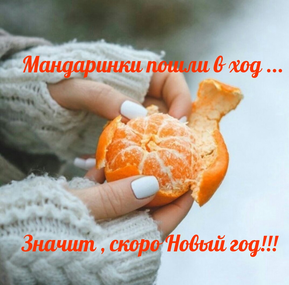 Мандаринки пошли в ход … скоро Новый год!