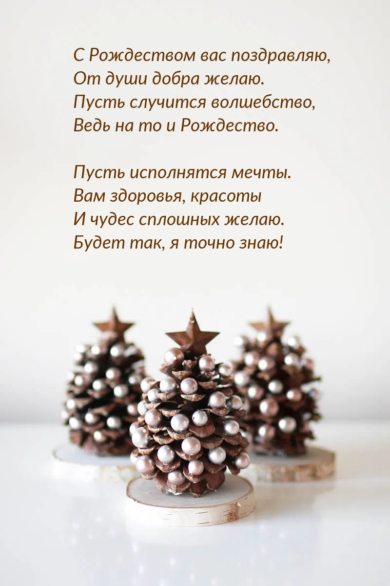 С Рождеством вас поздравляю! В стихах
